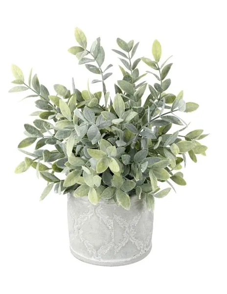 Sage Dusky Green Plant with Decorative Pot product image