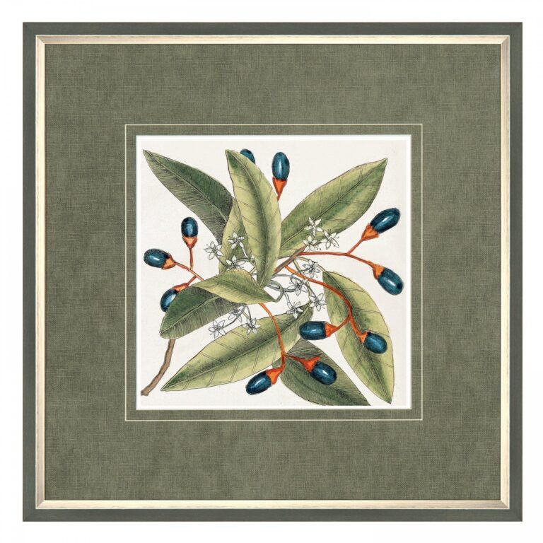 Botanical Framed Art Print product image
