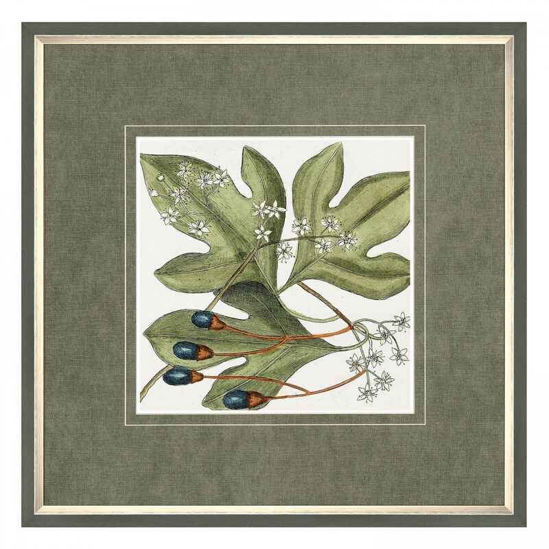 Botanical Beauty Framed Art Print product image